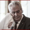 Zeman_kapesnik